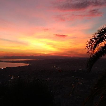 Observatoire نيس المظهر الخارجي الصورة
